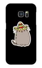 Kitty Tako Case