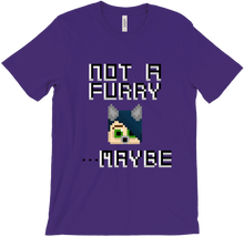 No History T-Shirt - Not A Furry