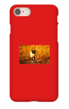 Aidan Rockel-Bigus iPhone Phone Cases