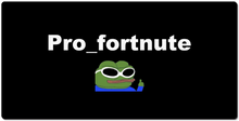 pro_fortnute XXL Gaming Mousepad