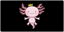 AxolotlordMaster XXL Gaming Mousepad