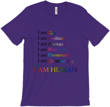 Sexuality Pride Tee