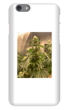 Hard On iPhone Case
