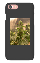 Hard On iPhone Case