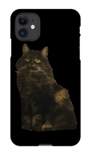 katten23cool iPhone Phone Cases