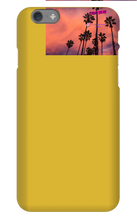 palm seas limited case