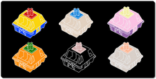 Switches_1