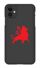 babylonfallsoundsystem iPhone Phone Cases