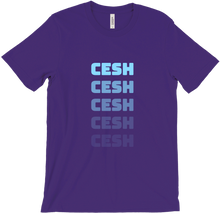Camisetica