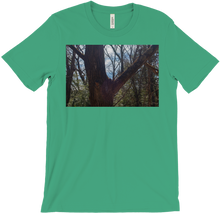 Saturated Tree