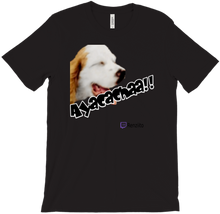 Ayacacha T-Shirts