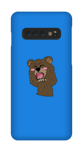 BEAR CASE