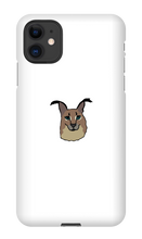 richer_rain iPhone Phone Cases