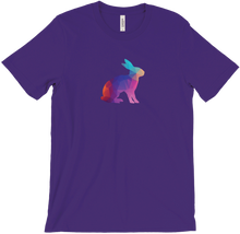 Conejo Arcoirirs Camiseta