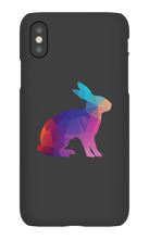 Conejo Arcoiris Funda iPhone
