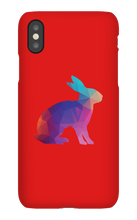 Conejo Arcoiris Funda iPhone