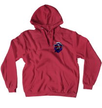 phisig2311 Hoodies (No-Zip/Pullover)