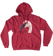 Hoodies (No-Zip/Pullover) flamenco