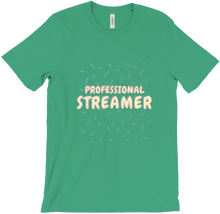 PROFESSIONAL STREAMER