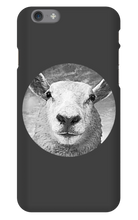 GraySheep  iPhone Cases