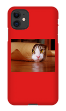Funny Taco Cat Iphone Case