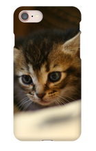 pamplemousse2stv iPhone Phone Cases