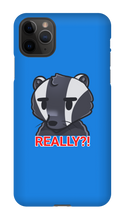 REALLY?! iPhone Case