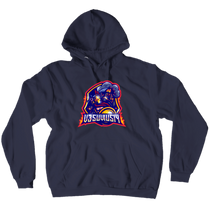 v3suvius14 Hoodies (No-Zip/Pullover)