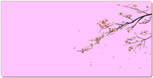 Cherry Blossom (18x36)