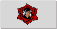 WiseRose XXL Gaming Mousepad
