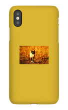 Aidan Rockel-Bigus iPhone Phone Cases