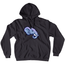 Hoodie (No-Zip/Pullover) Light blue