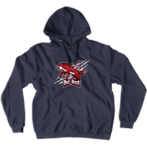 delbest Hoodies (No-Zip/Pullover)