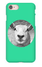 GraySheep  iPhone Cases