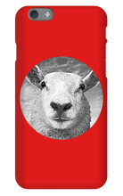 GraySheep  iPhone Cases