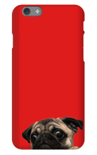 pugzzz iPhone Phone Cases