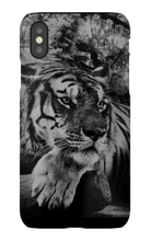 swyzz_jolino iPhone Phone Cases