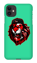 liwi_kiwi_x3 iPhone Phone Cases