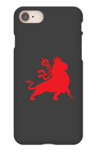babylonfallsoundsystem iPhone Phone Cases