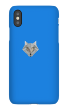 Trx Frosty's iPhone Cases