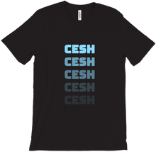 Camisetica