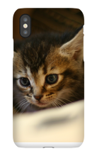 pamplemousse2stv iPhone Phone Cases