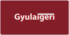 gyulaigeri XXL Gaming Mousepad