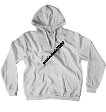 gavindude2009 Hoodies (No-Zip/Pullover)