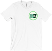 NiSO4 Logo