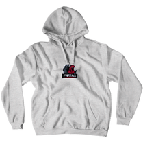 F4rtas hoodie