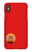 jl016 iPhone Phone Cases