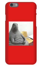 frick2oo5 iPhone Phone Cases