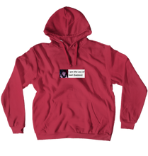ivyzwastaken Hoodies (No-Zip/Pullover)