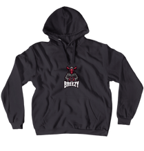 ttvbreezy113 Hoodies (No-Zip/Pullover)